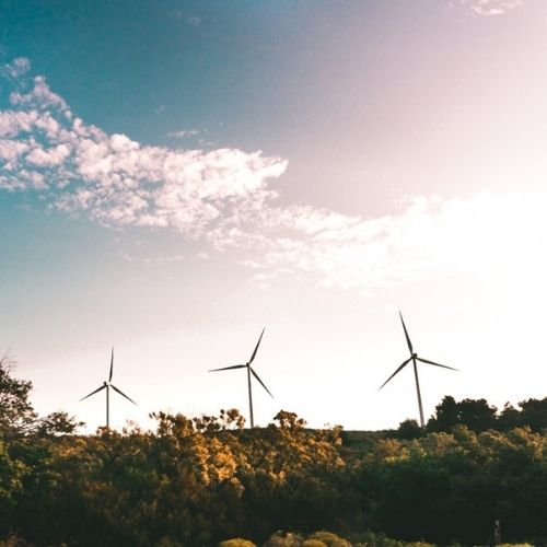 Sustainability Sector